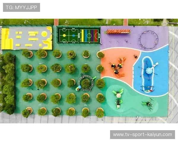 社区体育组织发展呈现网络化与专业化特征